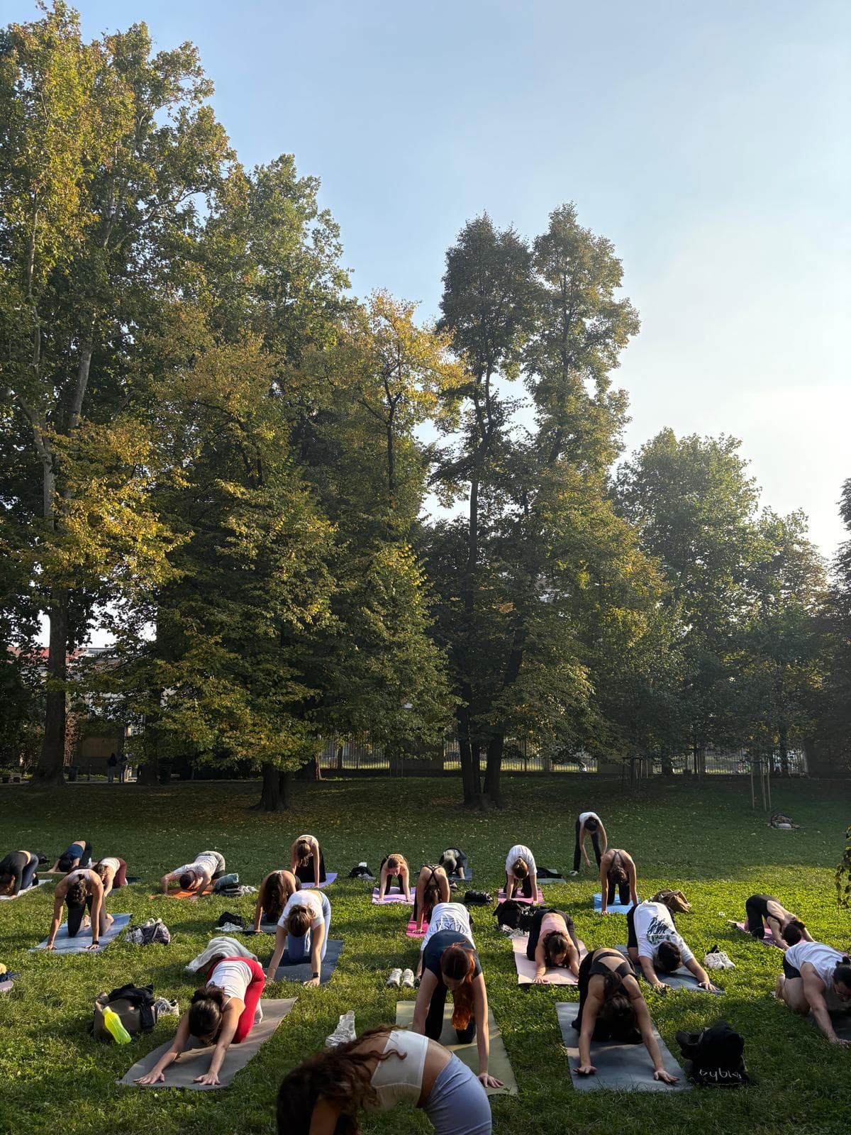 Group yoga practice in a Milan park at sunrise