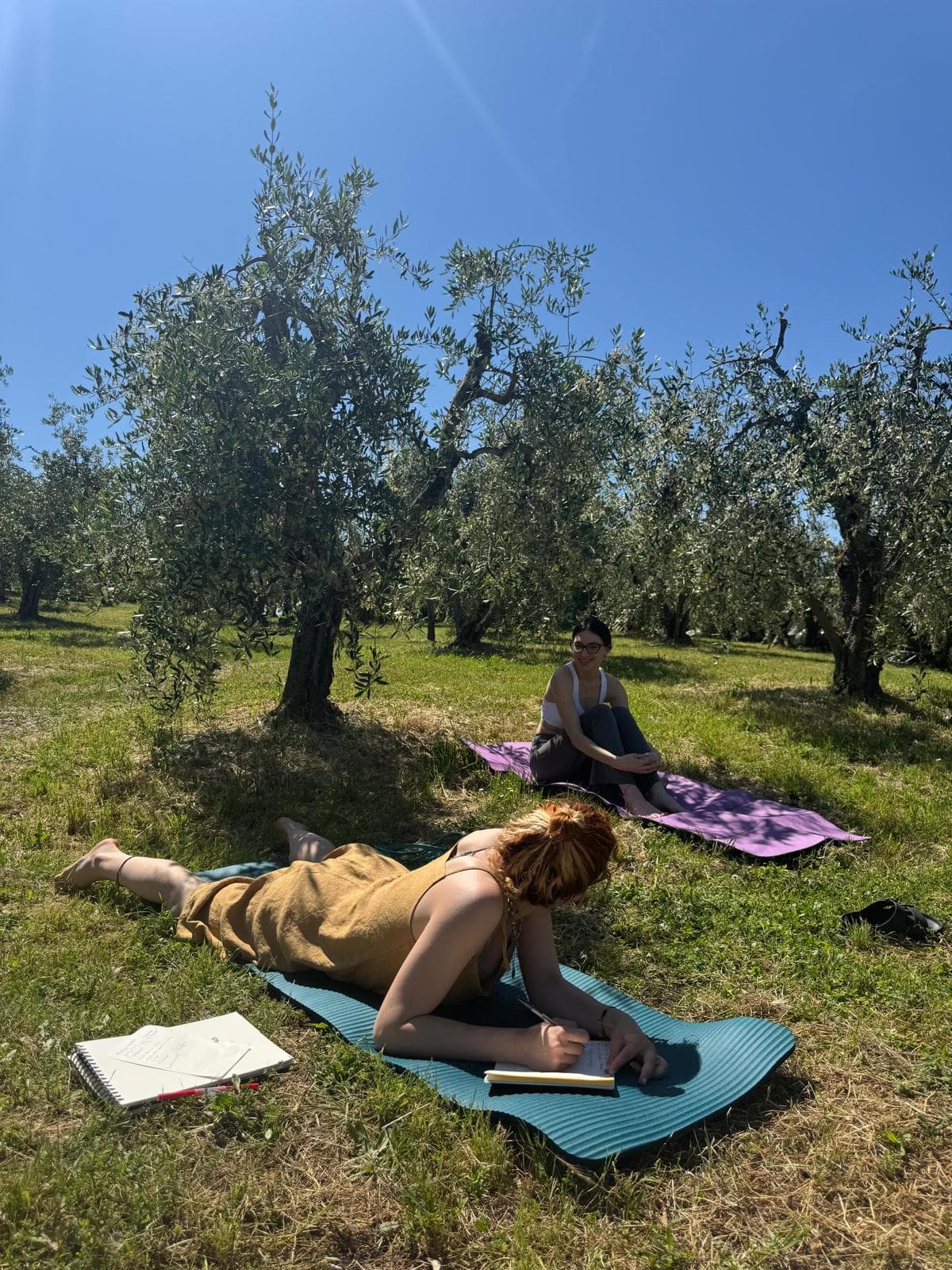 Two people journaling together in an olive grove