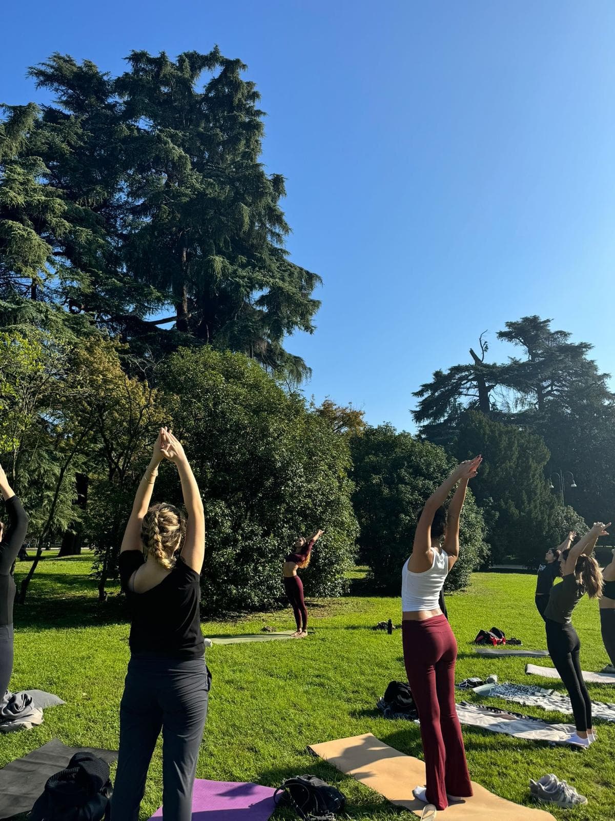 Outdoor yoga class raising arms under tall trees in Milan